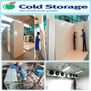 Jasa Bongkar Pasang Cold Storage atau Cold Room